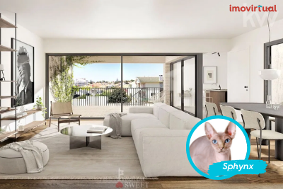 A casa de sonho do gato sphynx