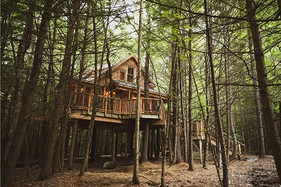 the woods treehouse