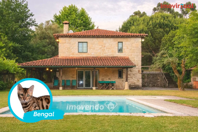 A casa de sonho do gato bengal