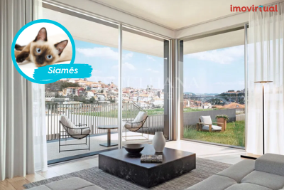 A casa de sonho do gato siamês
